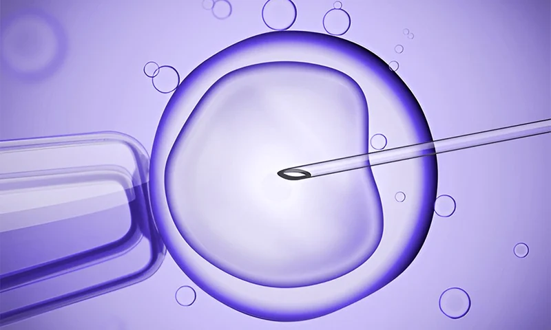 Egg Freezing