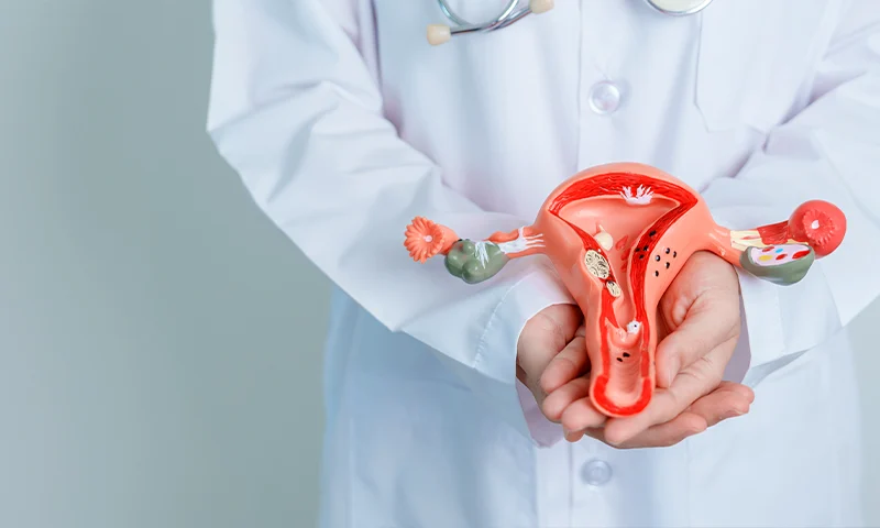Fibroid Removal