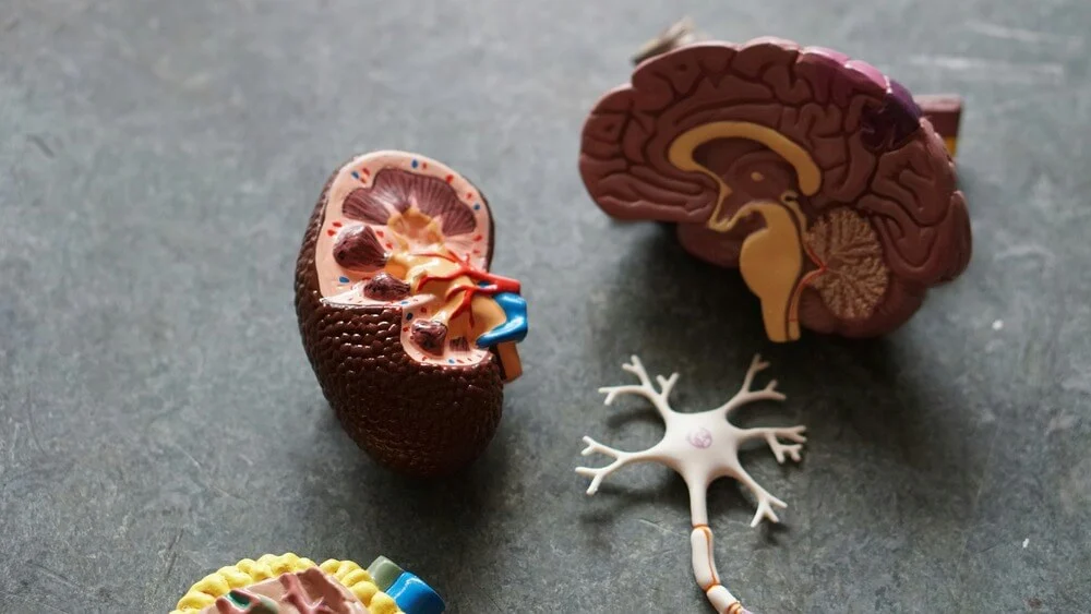 Kidney Stone Removal