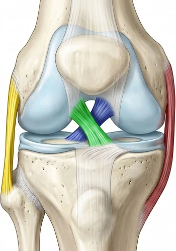 Meniscus Repair Surgery
